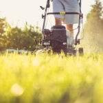Create a Spring Lawn Treatment Schedule for Your Sod