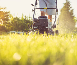 Create a Spring Lawn Treatment Schedule for Your Sod