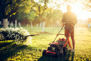Gardening and garden maintainance, industrial gardener using lawnmower and cutting grass in garden