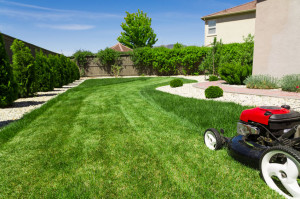 63556896 - lawn mower on green lawn