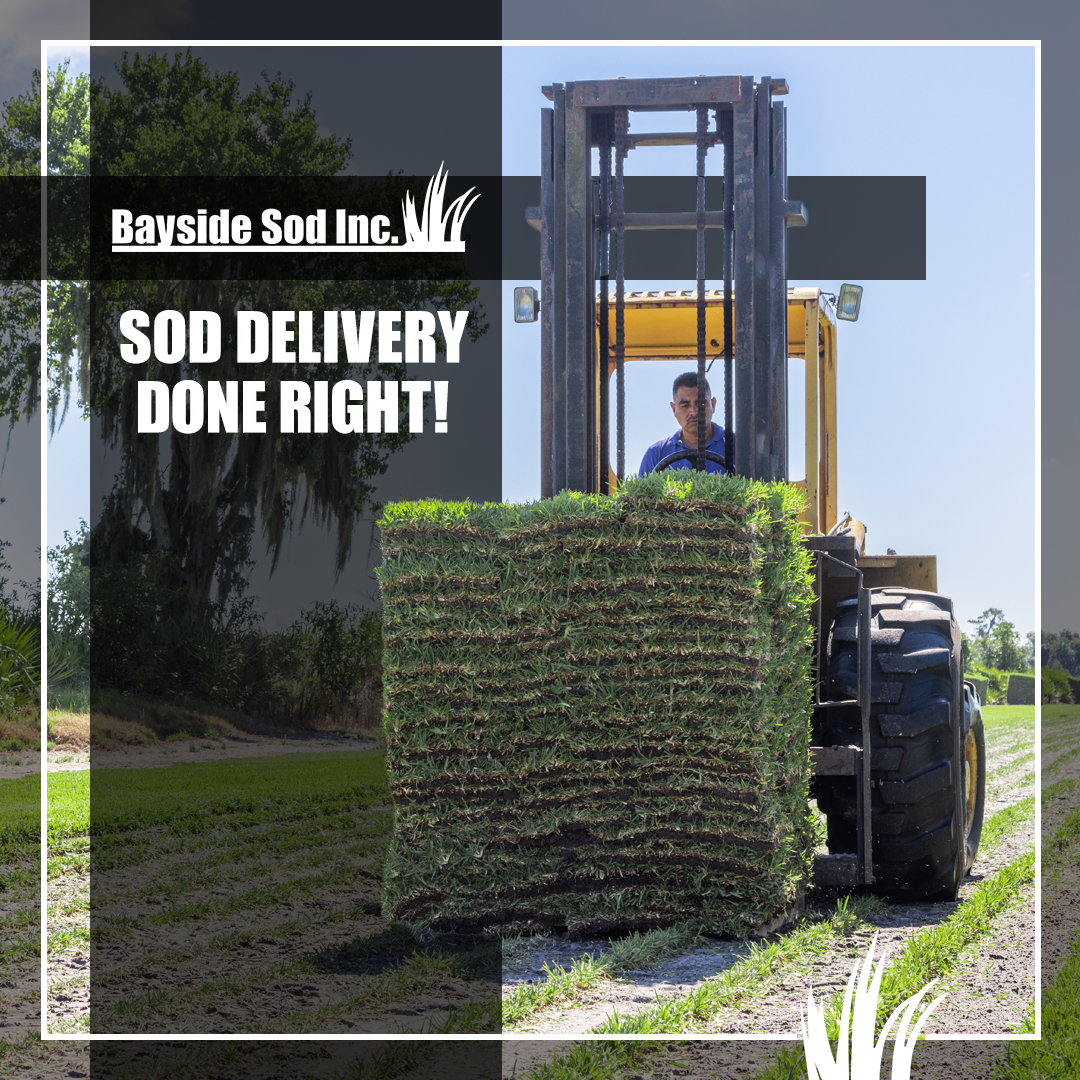 Sod delivery done right! Bayside Sod
