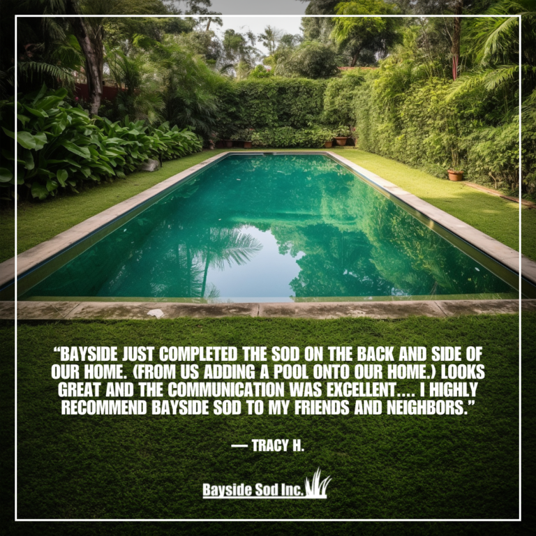 thanks-tracy-bayside-sod