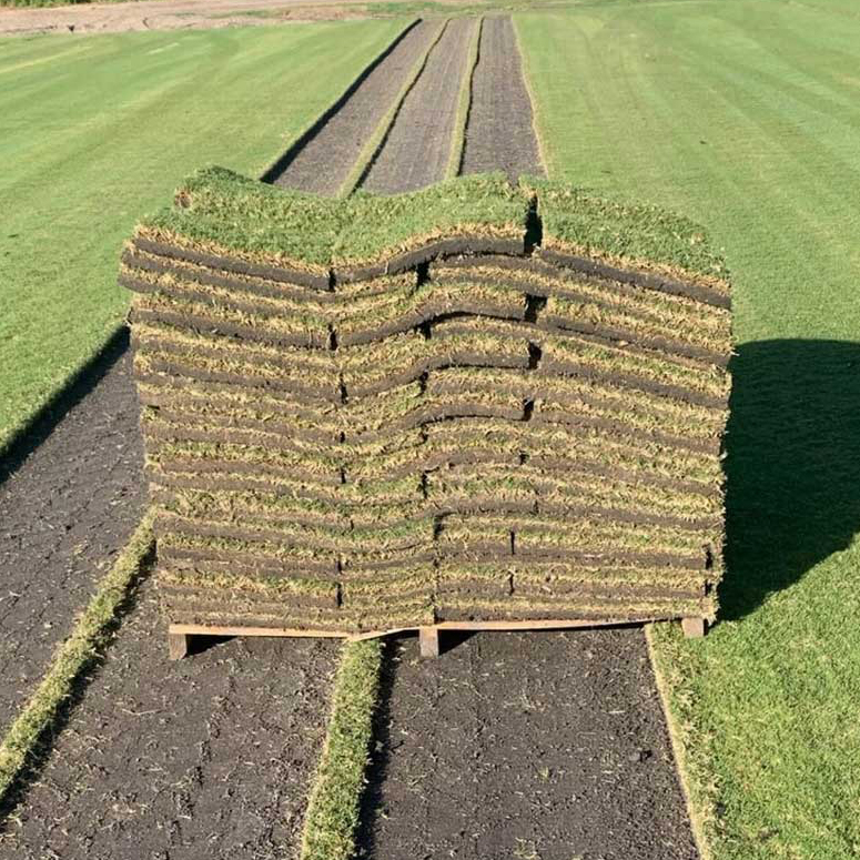 bayside-sod-about-sod