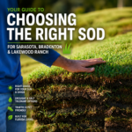 Your Guide to Sod for Sarasota, Bradenton & Lakewood Ranch