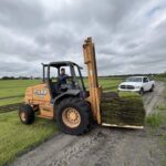 Pallet of freshly harvested Fusion St. Augustine sod at the Bayside Sod farm