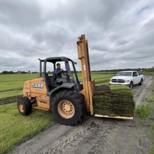 Pallet of freshly harvested Fusion St. Augustine sod at the Bayside Sod farm